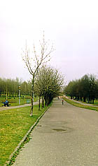Парк 900летия Минска